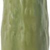 Musical Pickle Toy Review