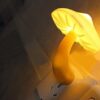 Mushroom Night Light Review