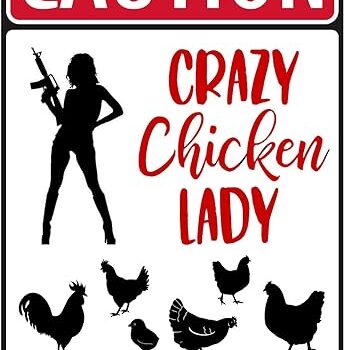 Area Patrolled by Chicken Lady Review