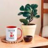 Fox Coffee Mug Gift Review