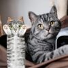 Cat Funny Hand Towels for Bathroom or Kitchen Review