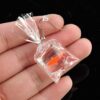 Funny Fish in Bag Earrings Review