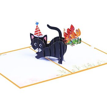 3D Pop Up Funny Cat Birthday Cards Review