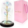 Galaxy Rose for Women Gift Review