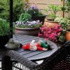 Drunk Dwarf Garden Gnome Review