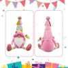 Lovinland Happy Birthday Gnome Review