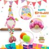 Lovinland Happy Birthday Gnome Review