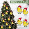 Ducking Ornament Christmas Gift Review