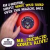 Fortune Telling Ball Review