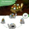 Solar Garden Outdoor Statues Turtle Gift Review
