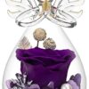 Preserved Flower Rose in Glass Gifts Review