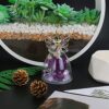 Preserved Flower Rose in Glass Gifts Review