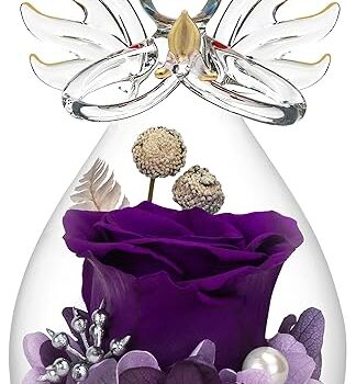 Preserved Flower Rose in Glass Gifts Review