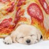 Pizza Blanket Review