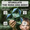 The Shape Shifting Box Review