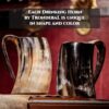 Viking Drinking Horn Mug Gift Review