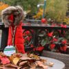 Wine Bottle Jacket Parka Review