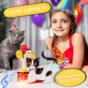 3D Pop Up Cat Birthday Gift Greeting Card Review