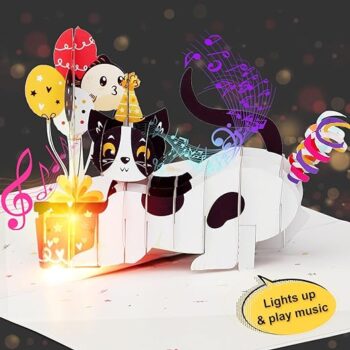3D Pop Up Cat Birthday Gift Greeting Card Review
