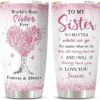 Sister Tumbler Gift Review