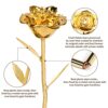Gold Dipped Rose Gift Review