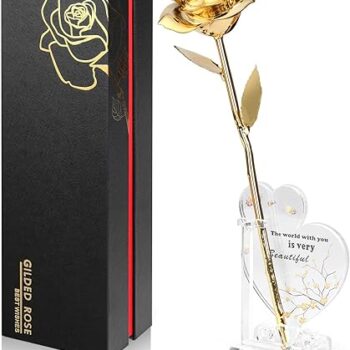 Gold Dipped Rose Gift Review