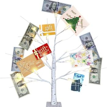 Money Tree Holder Gift Review