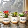 30th Birthday Decor Gift Review