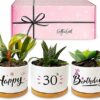 30th Birthday Decor Gift Review