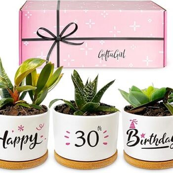 30th Birthday Decor Gift Review