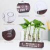Plant Propagation Station Gift Review