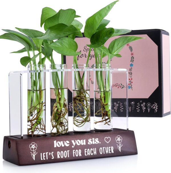 Plant Propagation Station Gift Review