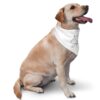 Dog Bandana Gift Review