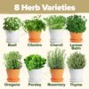 Deluxe Herb Garden Kit Gift Review