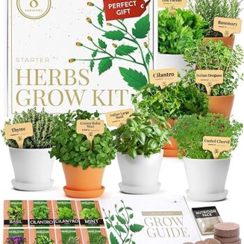 Deluxe Herb Garden Kit Gift Review