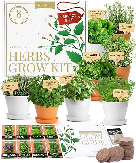 Deluxe Herb Garden Kit Gift Review