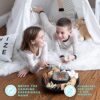 Electric Marshmallow Roaster Gift Review