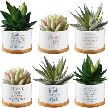 6 Pcs Succulent Planters Gift Review