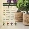 Bonsai Starter Kit Gift Review