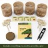 Bonsai Starter Kit Gift Review