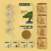 Bonsai Starter Kit Gift Review