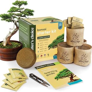 Bonsai Starter Kit Gift Review