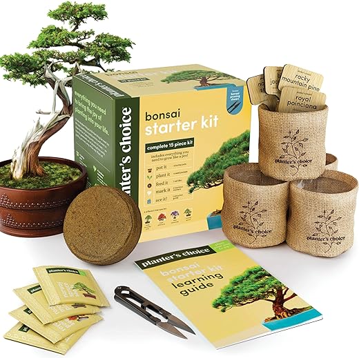 Bonsai Starter Kit Gift Review