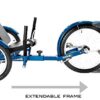 Adult Tricycle Gift Review