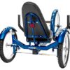 Adult Tricycle Gift Review
