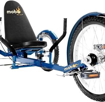 Adult Tricycle Gift Review