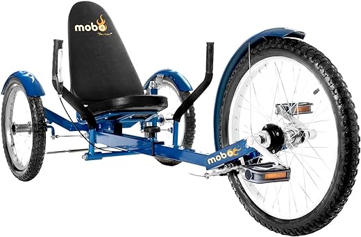 Adult Tricycle Gift Review