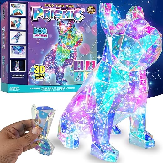Make Your Own Dog 3D Light Gift Review