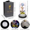 Galaxy Glass Rose Forever Gift Review