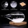 Storm Glass Bottle Decorations Gift Review